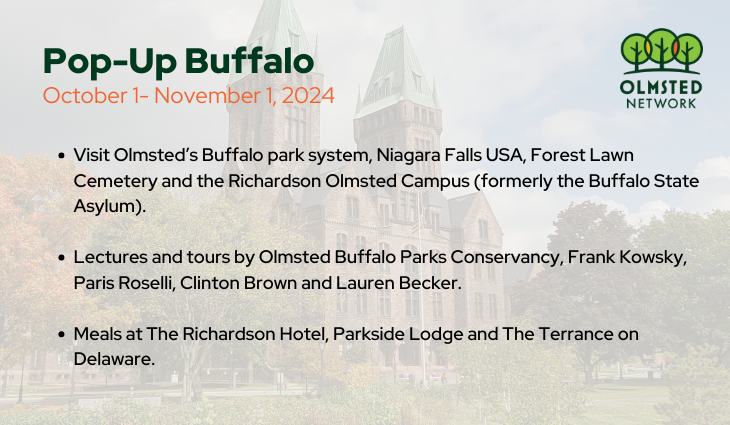 Buffalo 2